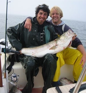 dave-ertle1-chronicle