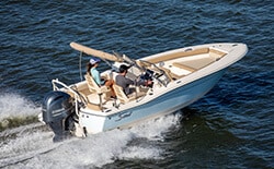 Scout 195 Sport Dorado 