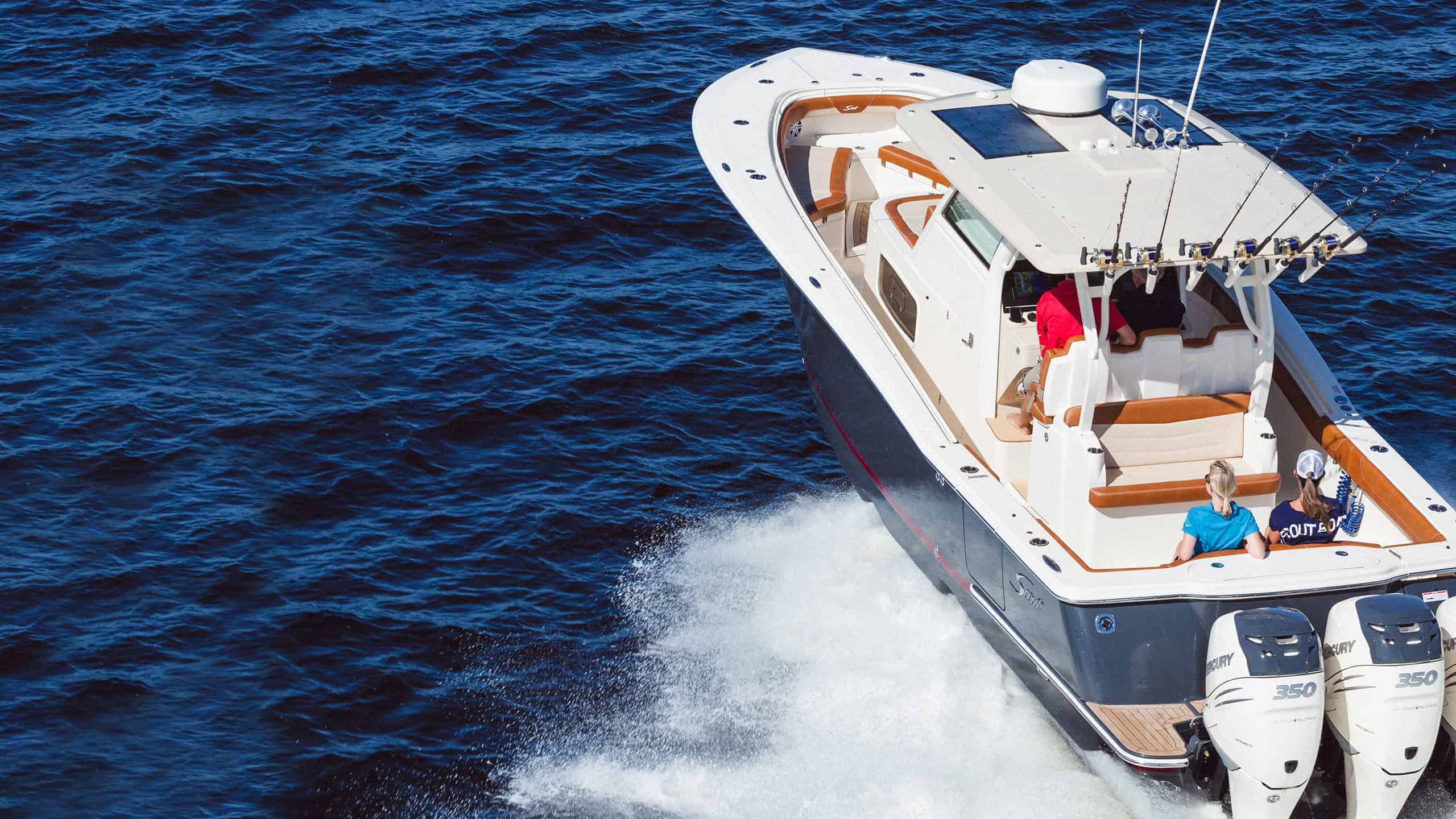 Terms and Conditions