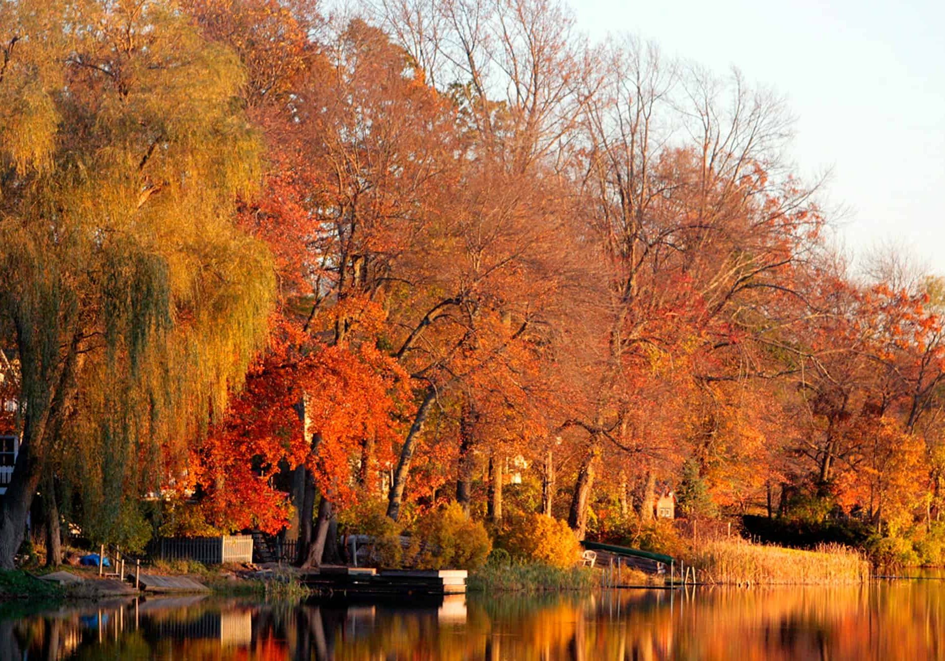 david-trinks-jxyxxbkDUMU-unsplash